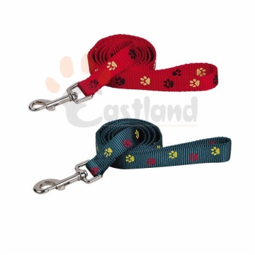 Color paws print leads