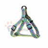 Casanblanca Series - harness, adjustable